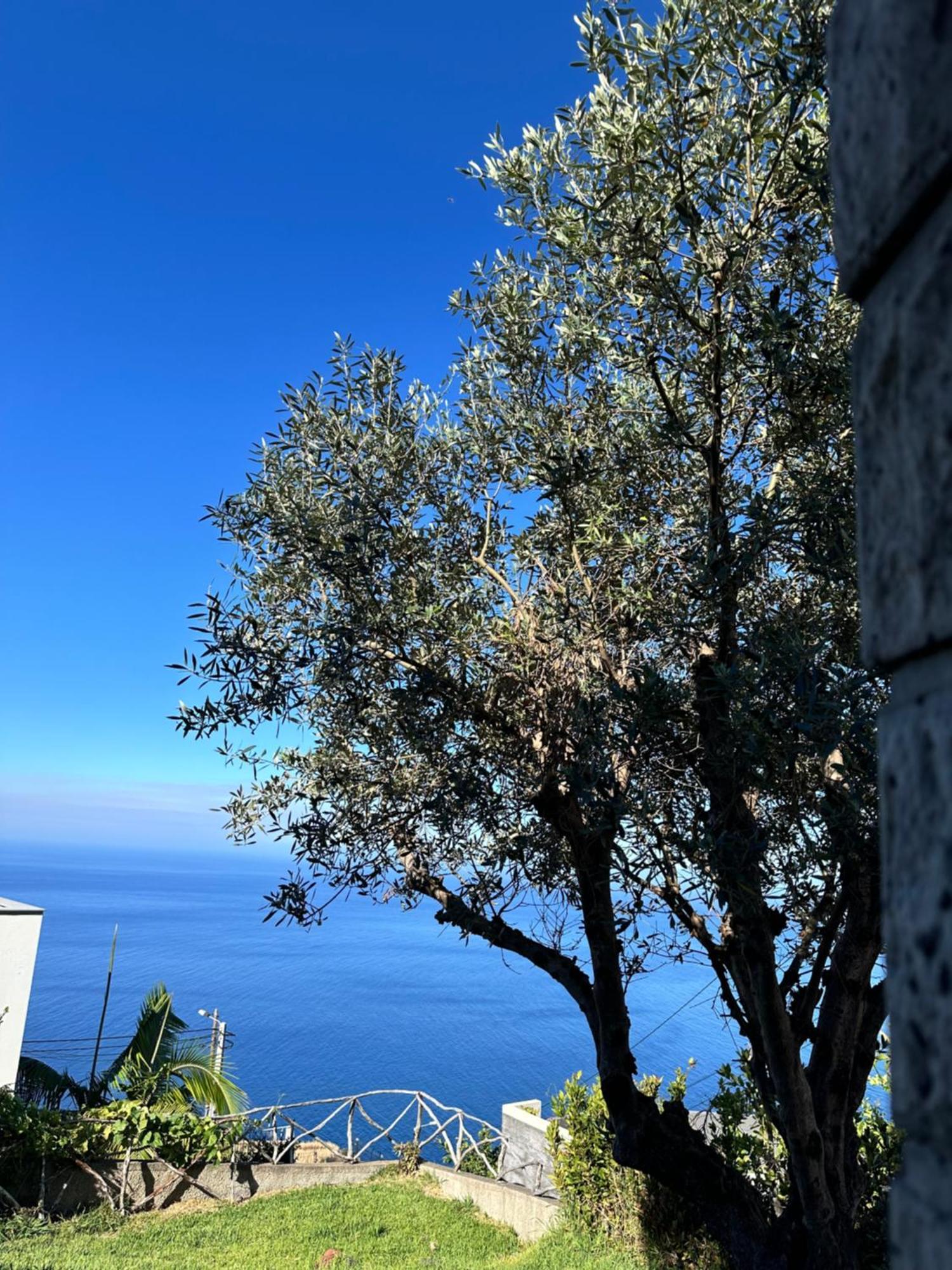 Cozy Sea View House Faja Da Ovelha Villa Calheta  Exteriör bild